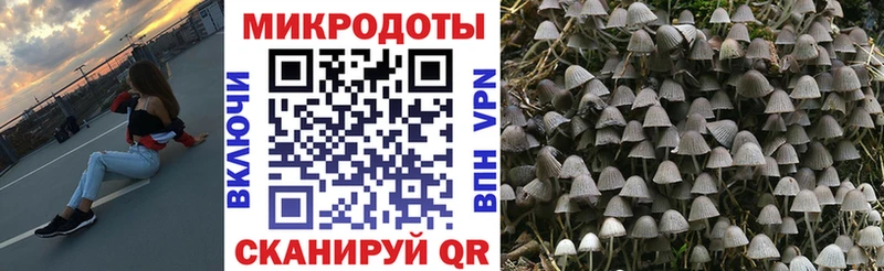 OMG ссылка  Гаврилов Посад  Галлюциногенные грибы Magic Shrooms 